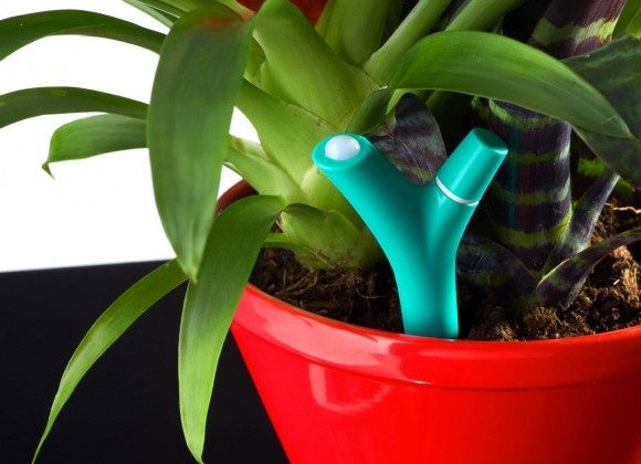 Parrot Flower Power partners with IFTT to automate gardening